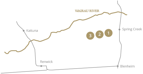 two-rivers-wairua-valley-vineyards